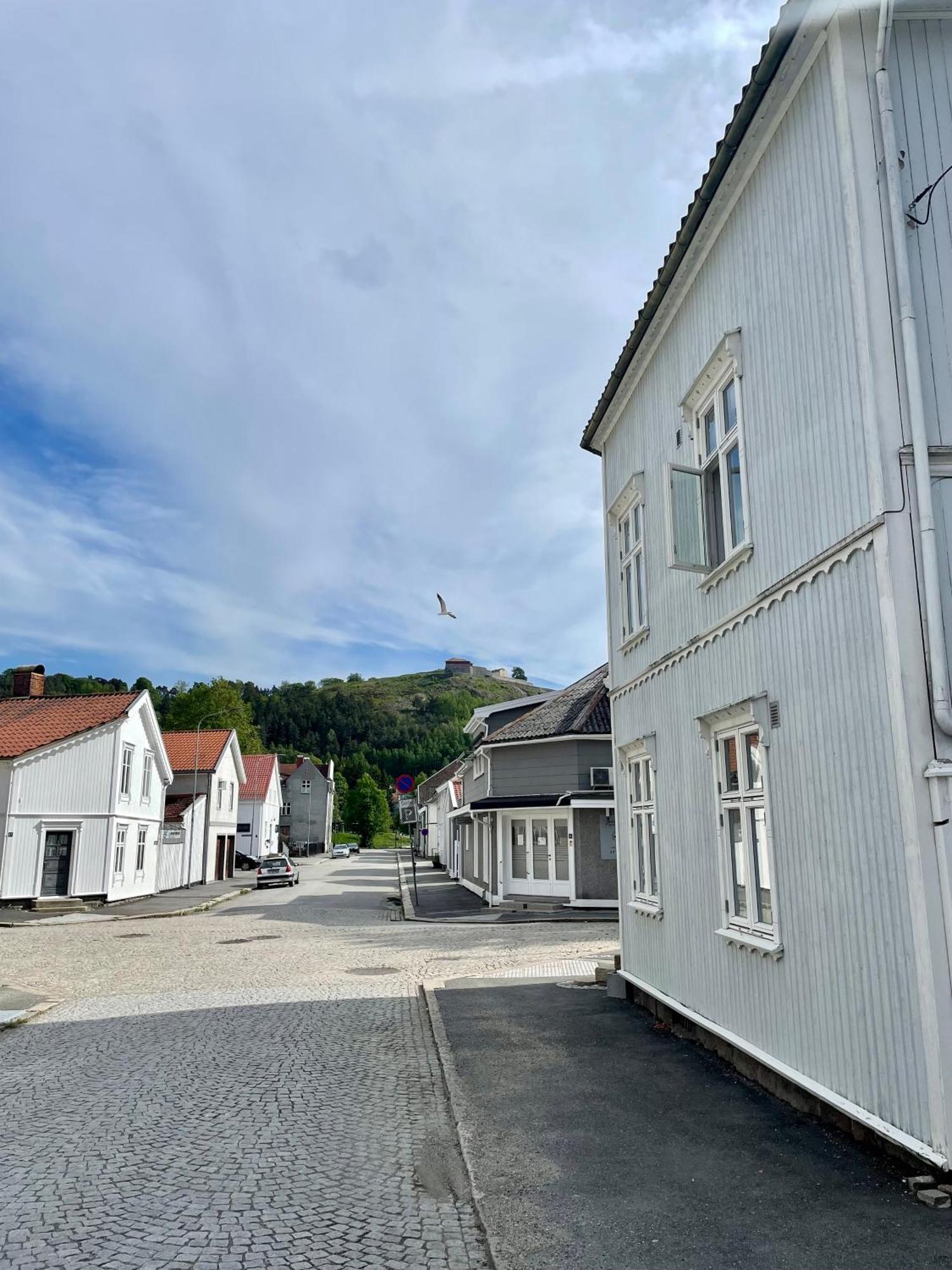 Sentral Og Fargerik Bygardsleilighet Halden Exteriér fotografie